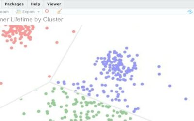 Cluster Analyses to Inform Segmentation